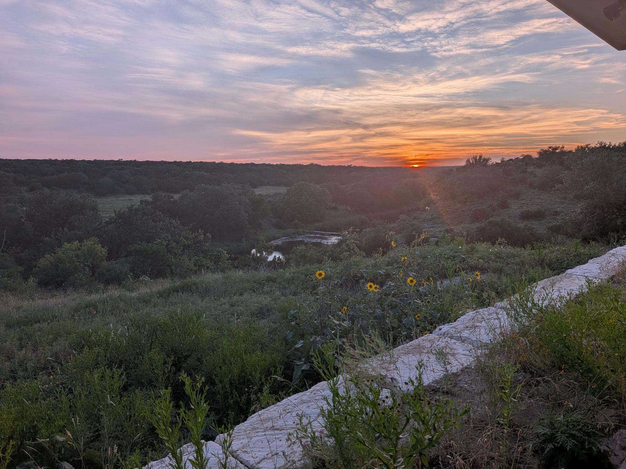 Hill Country pasture at first light
