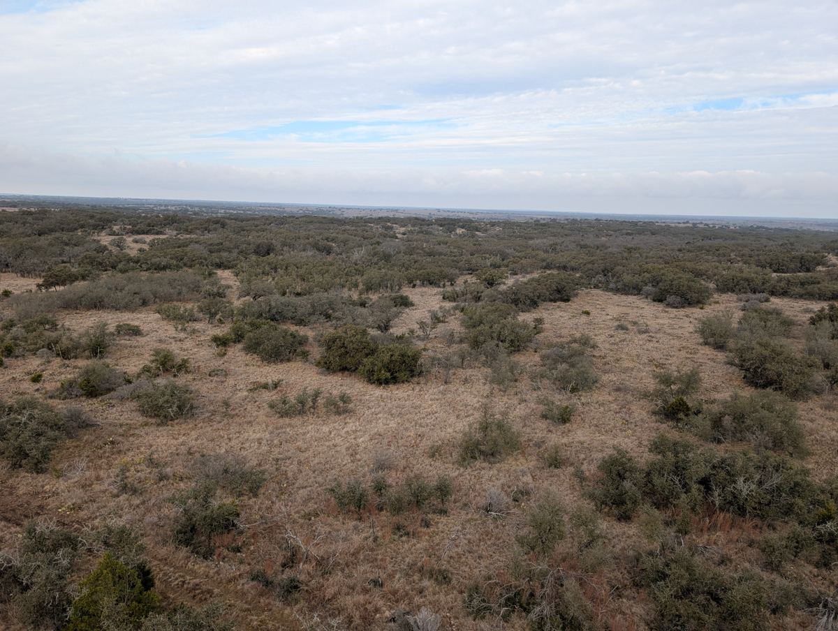Open pasture and cover on East Wildcat